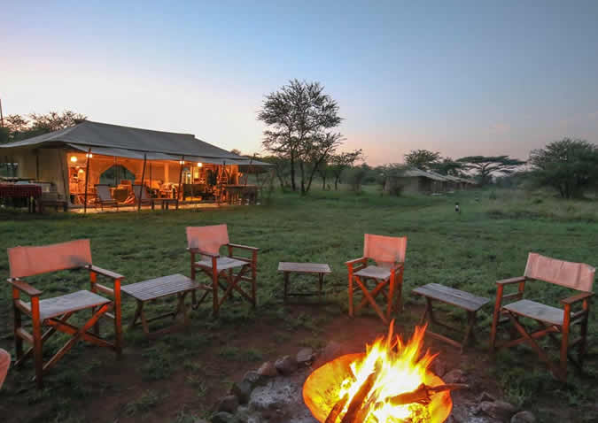 acacia camp