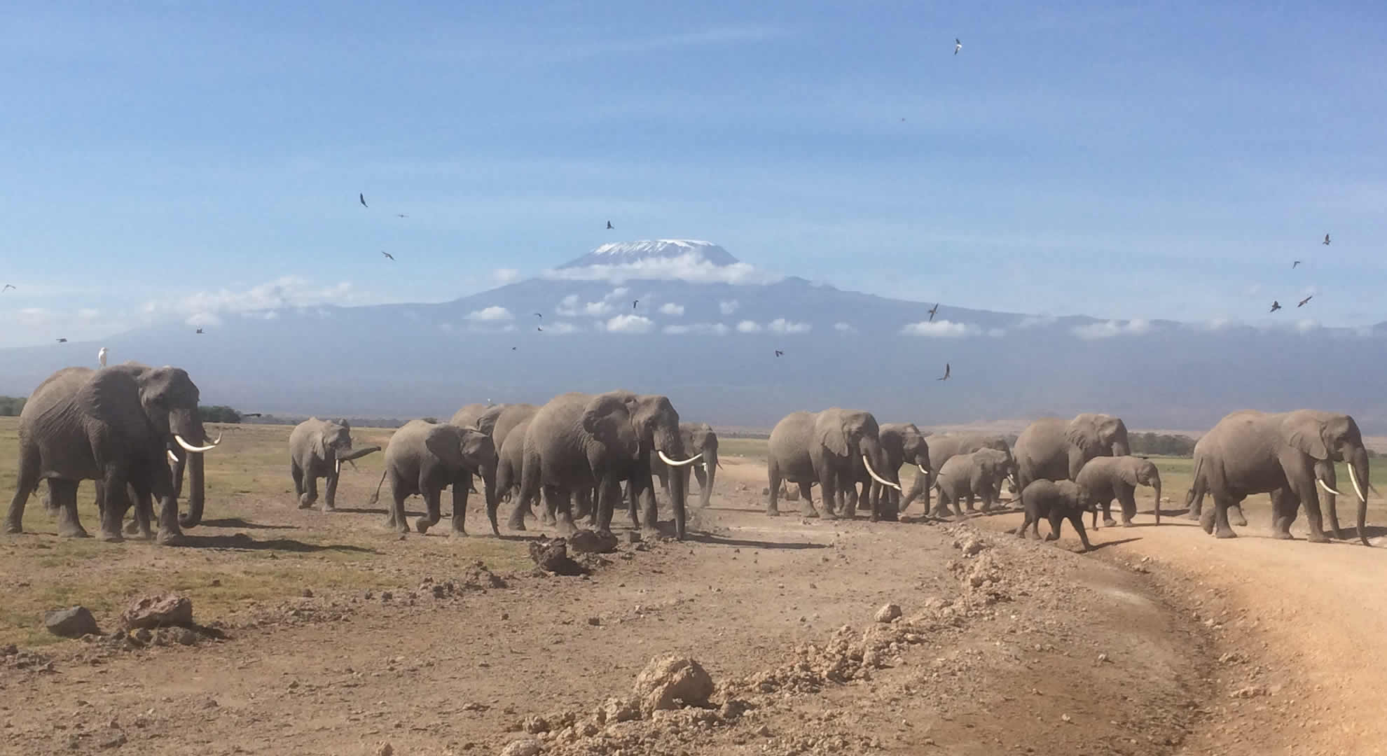 amboseli national park amboseli national park