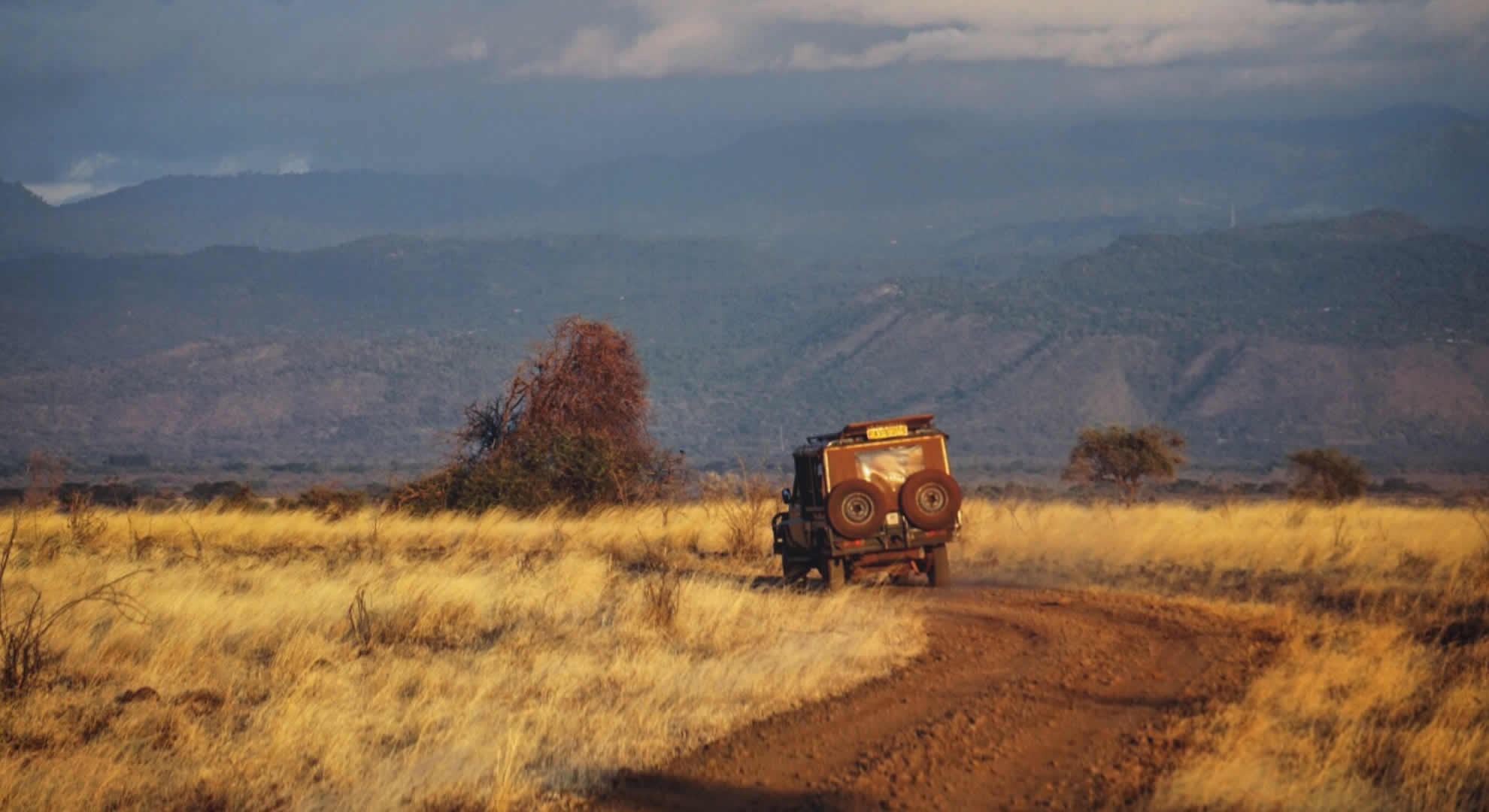 meru national park meru national park
