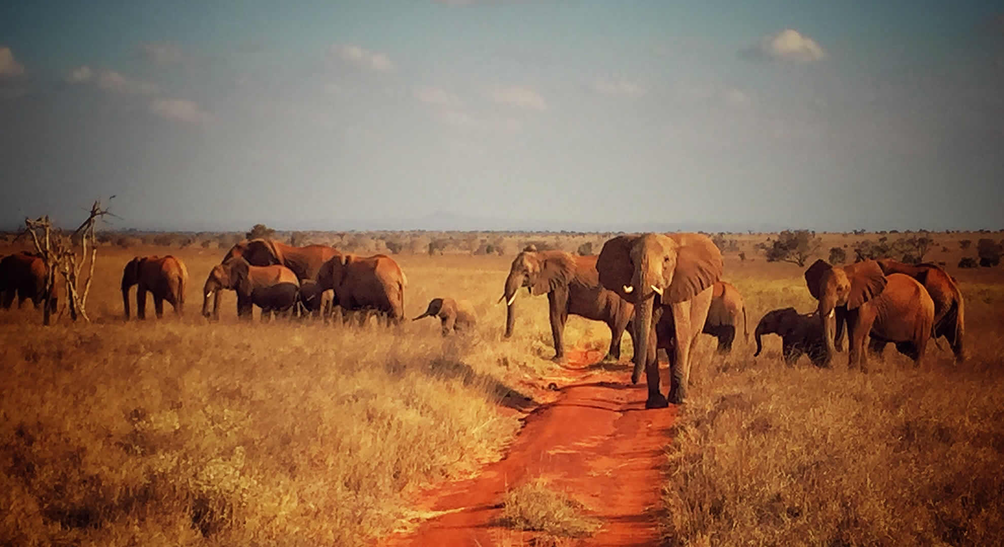 tsavo east national park tsavo east national park