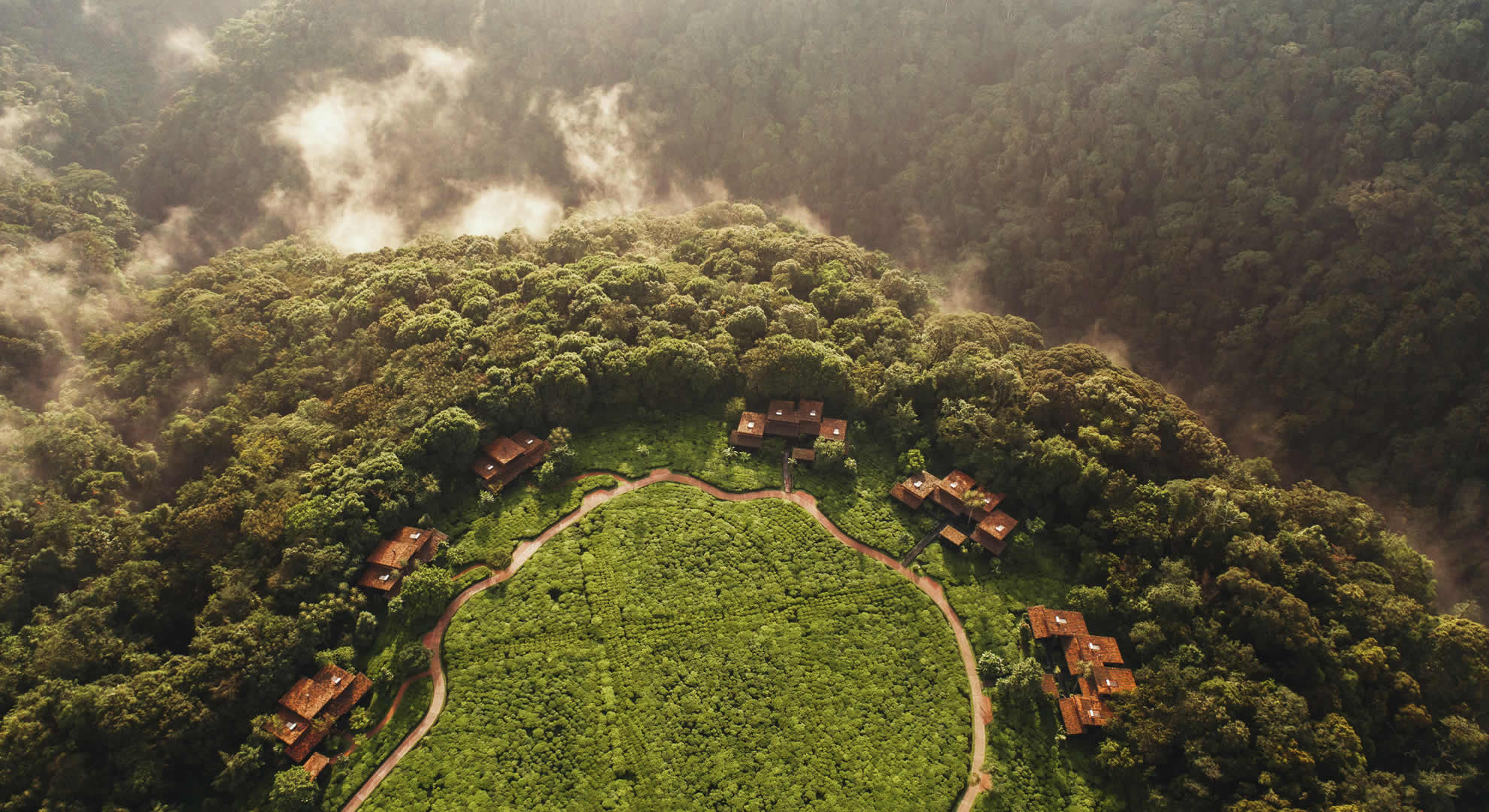 nyungwe national park nyungwe national park