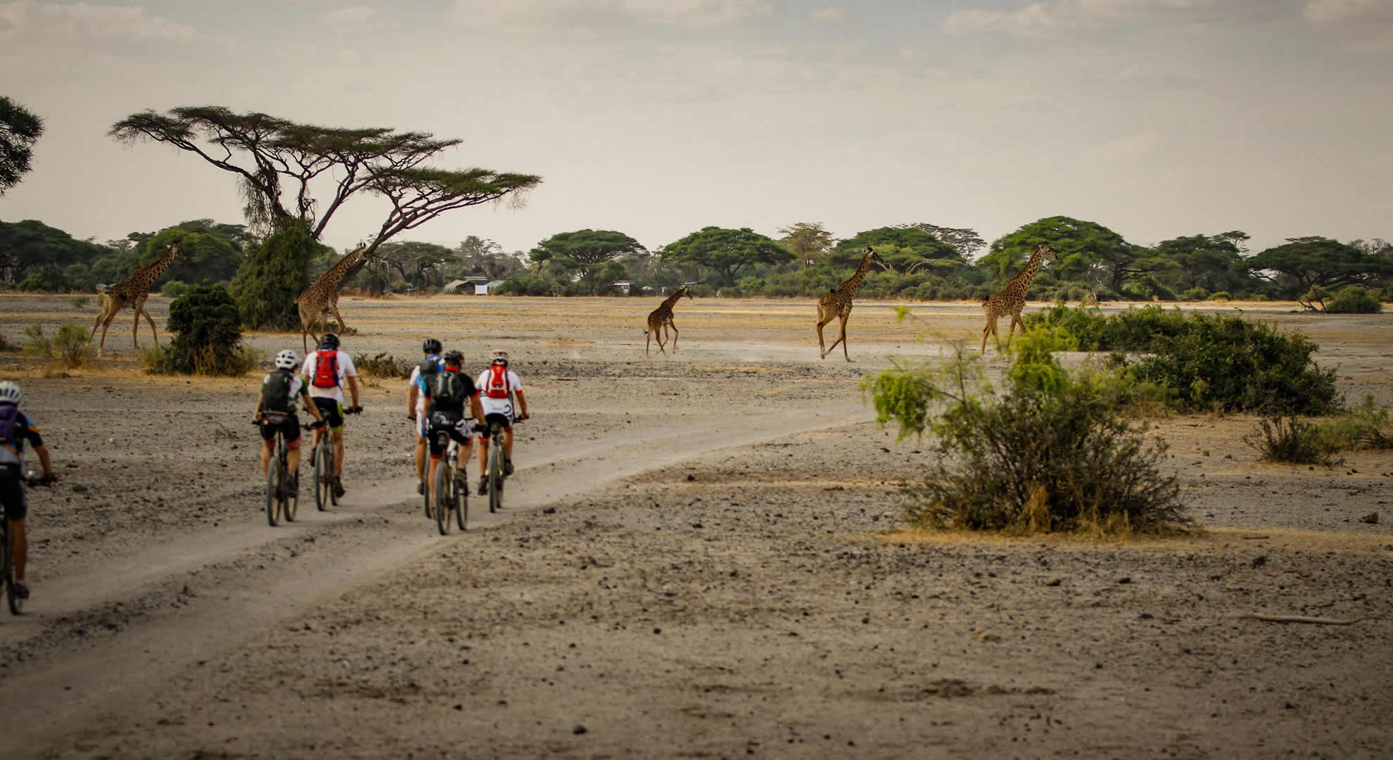 arusha national park arusha national park