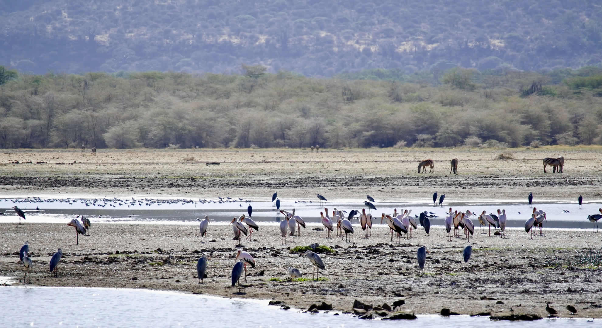 lake manyara national park lake manyara national park