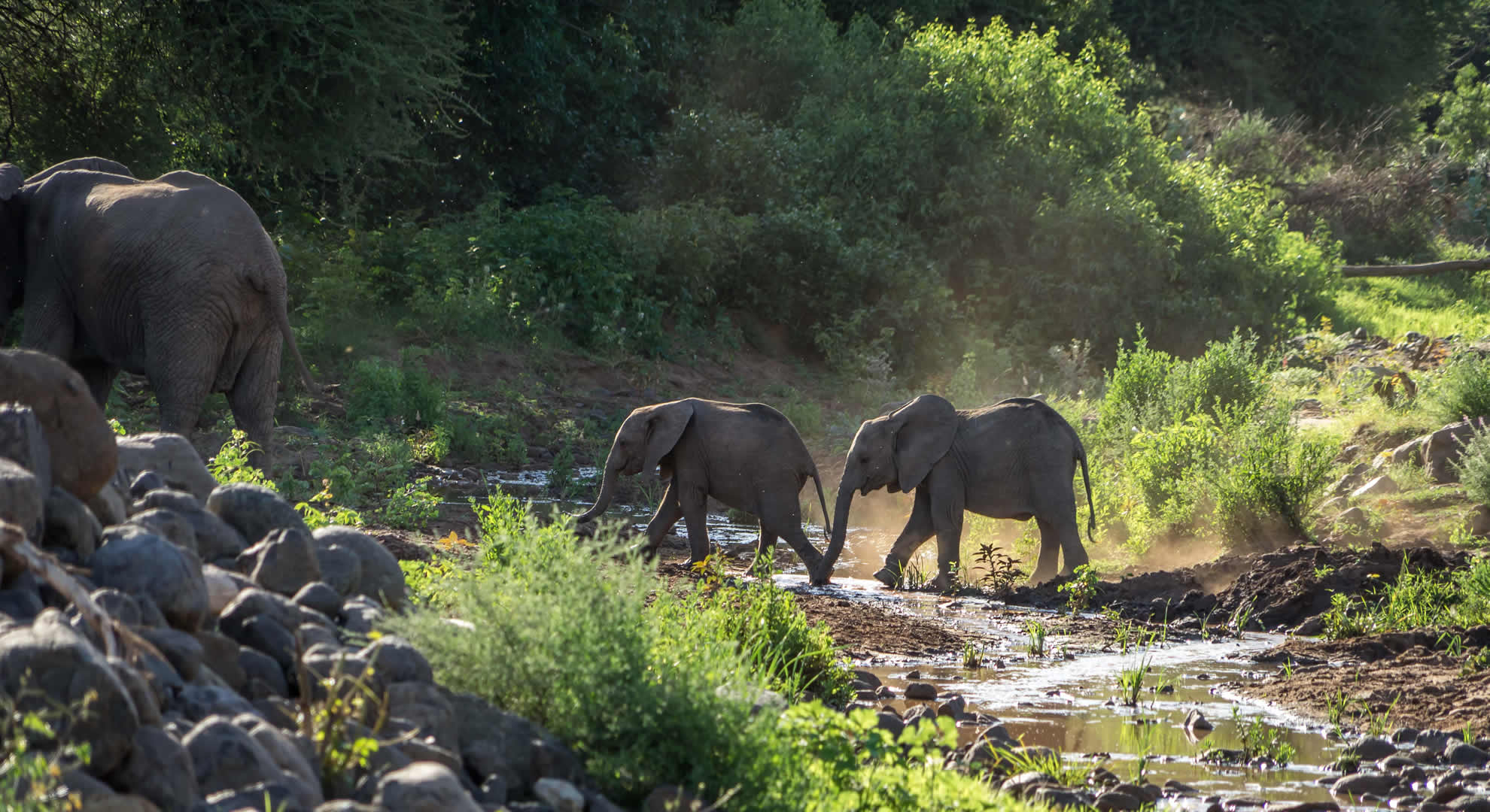 lake manyara national park lake manyara national park