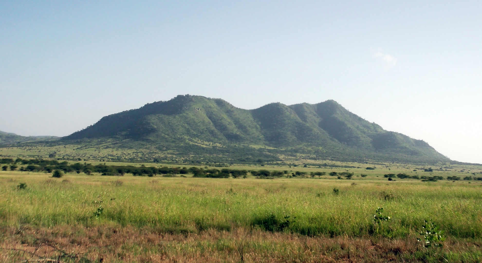 mkomazi national park mkomazi national park
