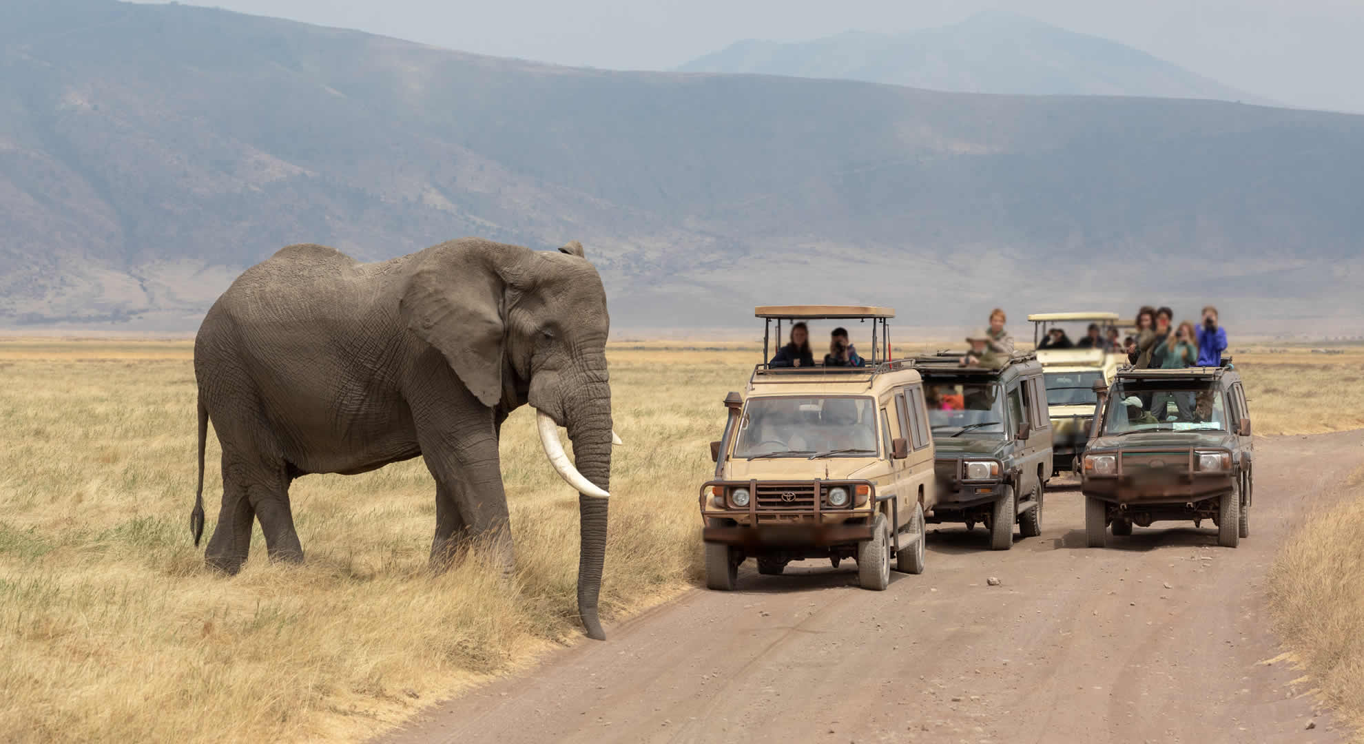 ngorongoro conservation area ngorongoro conservation area