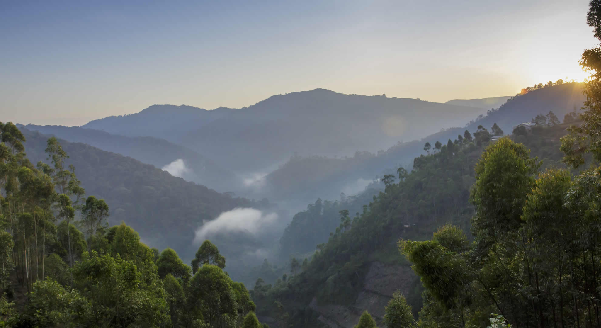 bwindi national park bwindi national park