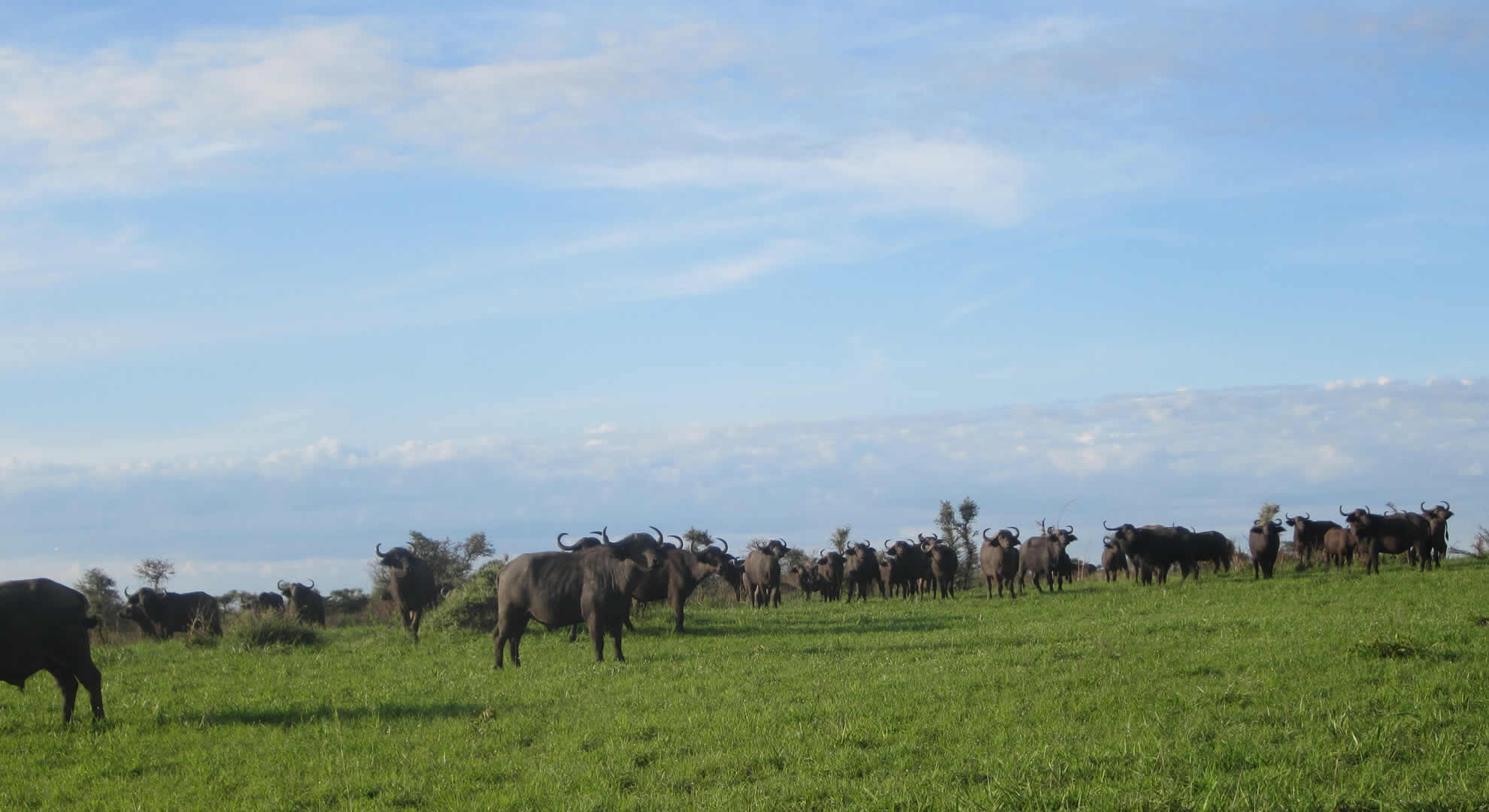 lake mburo national park lake mburo national park