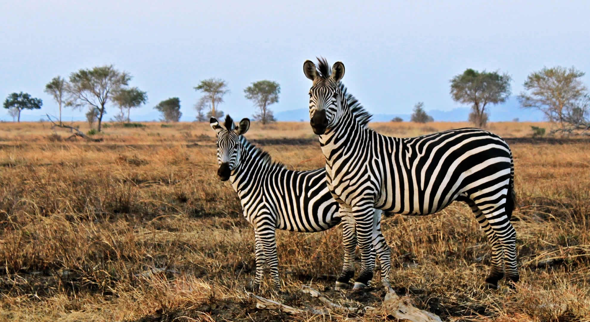daytrip to mikumi national park