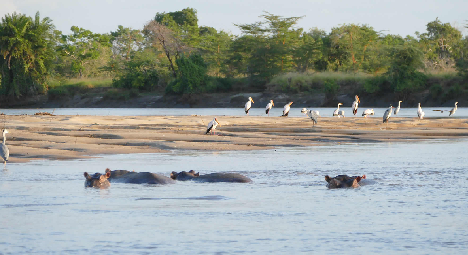 saadani national park