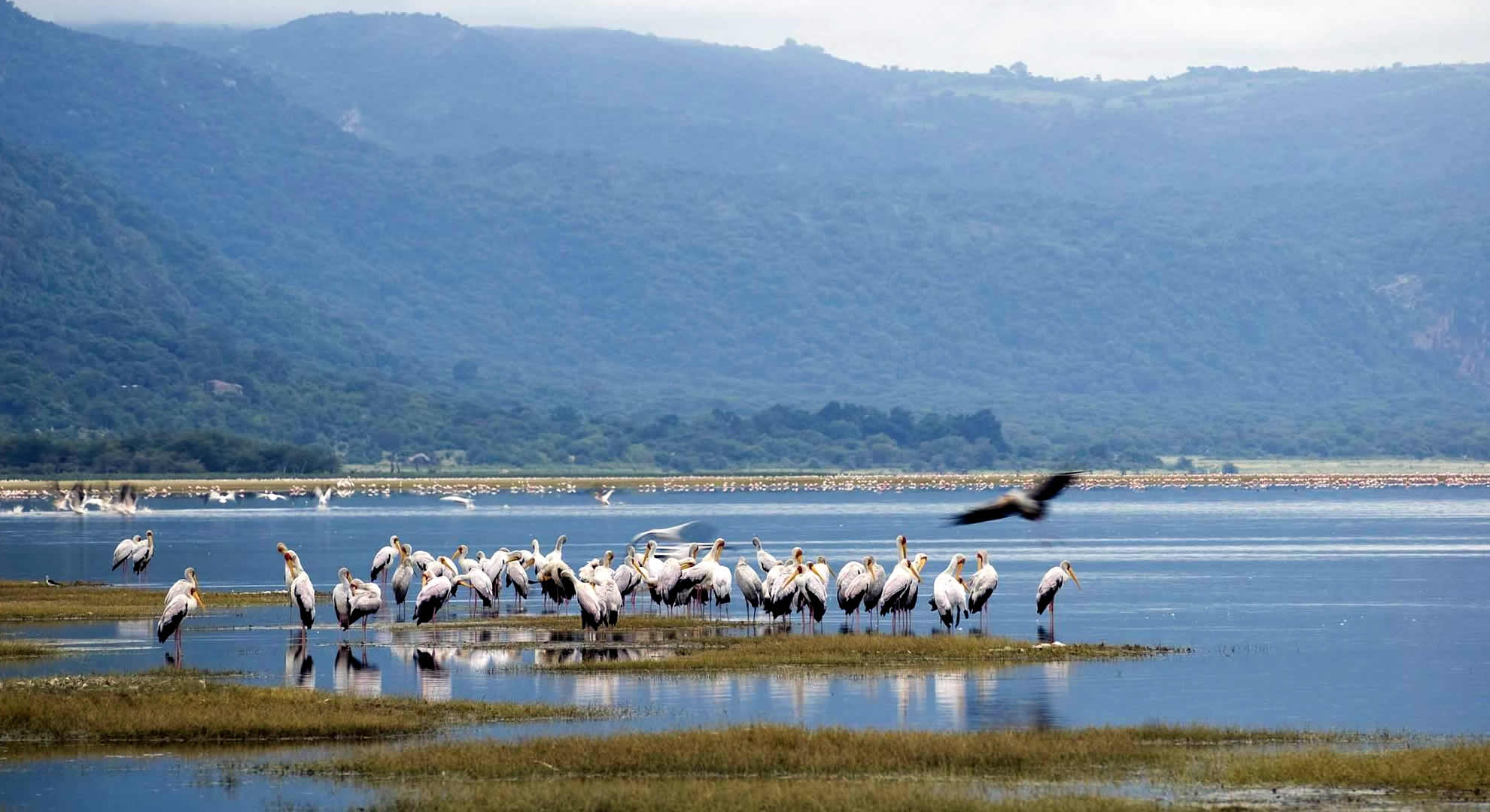 lake manyara lake manyara