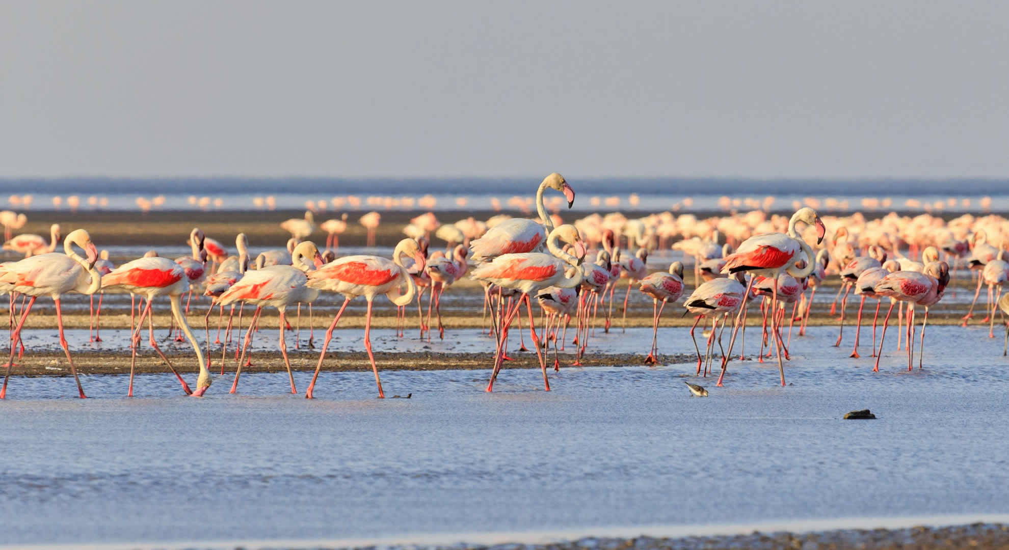 lake natron lake natron