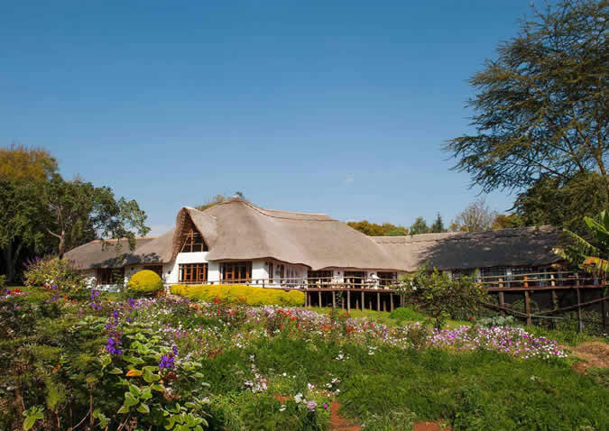ngorongoro farm house ngorongoro farm house