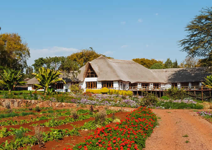 ngorongoro farmhouse ngorongoro farmhouse