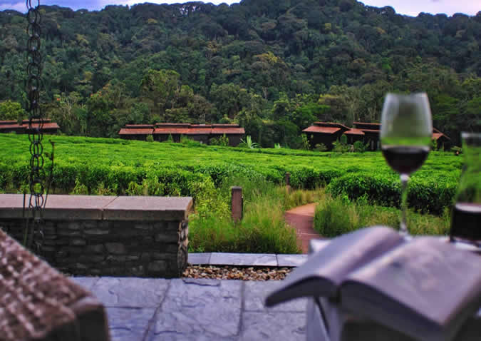nyungwe nyungwe