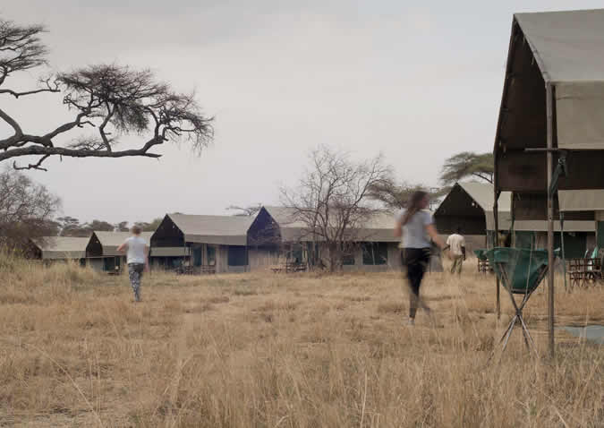 serengeti halisi camp