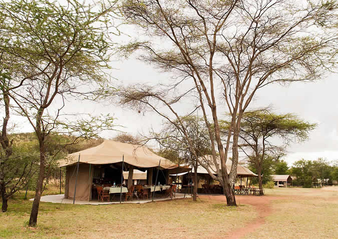 serengeti kati kati camp serengeti kati kati camp